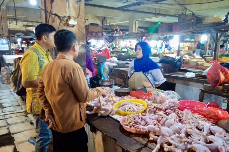 1ba9cf35-975c-4ec9-9598-69df0cad579d Tim Direktorat Jenderal Peternakan dan Kesehatan Hewan Kementerian Pertanian (Kementan) melakukan inspeksi harga ayam di Pasar Klender SS pada Jumat (13/2/2026). (ANTARA/HO-Kementan RI)