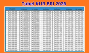KUR BRI