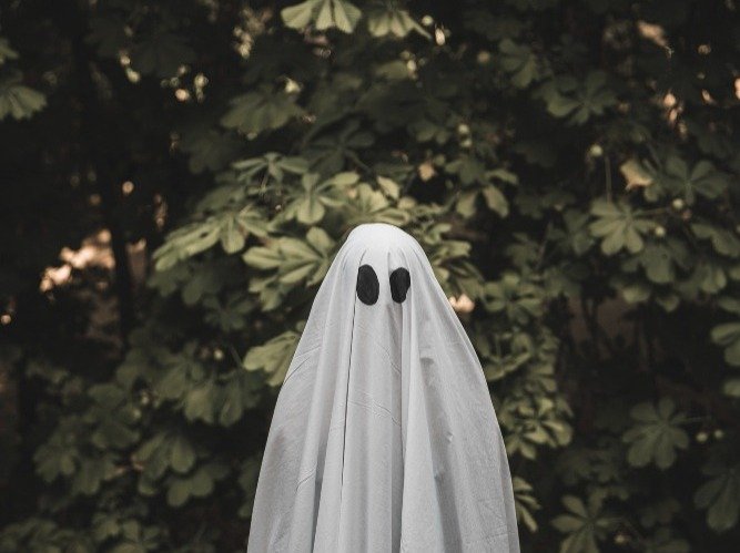 Tak Banyak yang Tahu, Ini 3 Tanaman yang Dipercaya Mengundang Hantu tanaman hantu