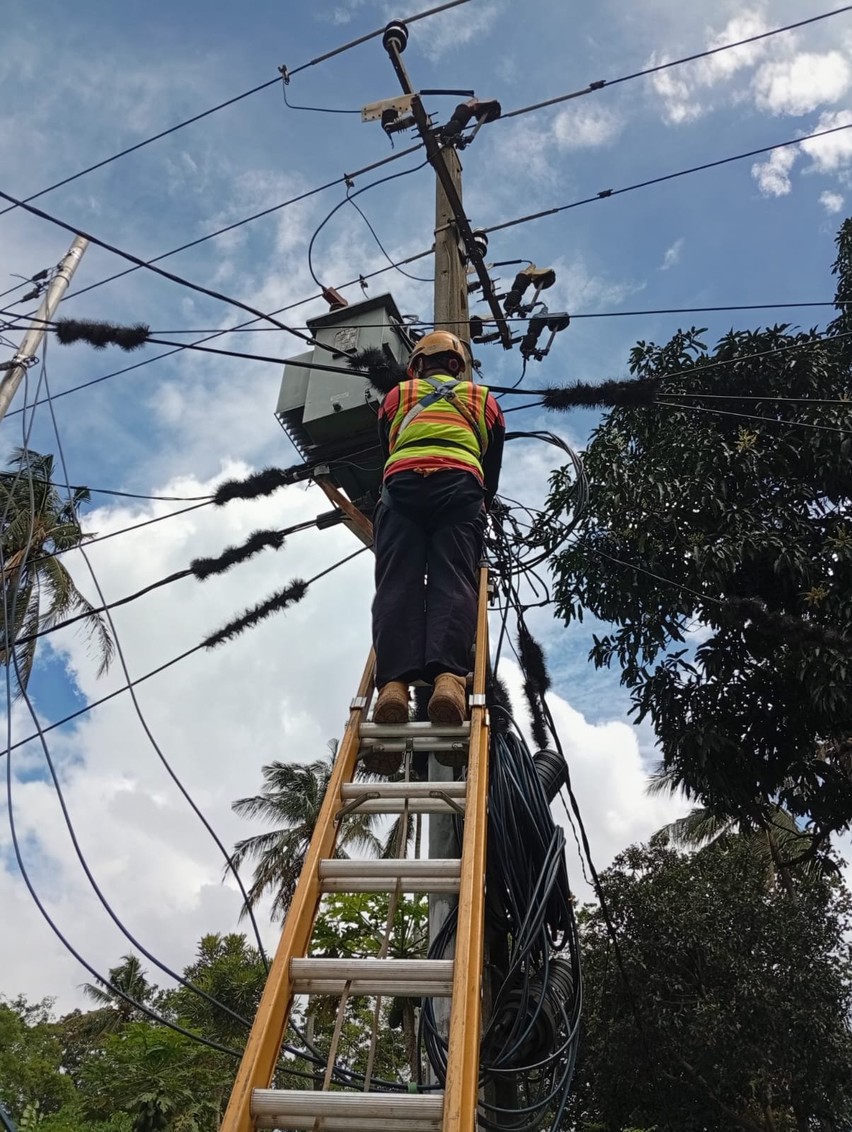 PLN Icon Plus Lakukan P3AK di Kecamatan Cimalaka untuk Jaga Keandalan Jaringan