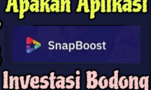 Akhirnya Aplikasi SnapBoost Bisa Penarikan? Ini Penjelasannya