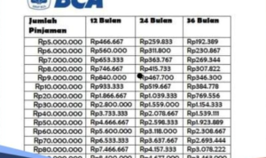 Pinjaman Online BCA 2026 Modal HP Bisa Dapat Rp20 Juta Tanpa Jaminan Pinjaman Online BCA 2026 Modal HP Bisa Dapat Rp20 Juta Tanpa Jaminan