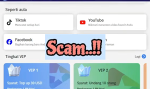 Aplikasi SnapBoost Scam, Tanda-Tanda IPO Palsu dengan Bonus Gila-Gilaan