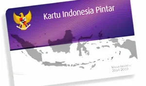Cara Cek PIP Juni 2026 Secara Online, Cair atau Belum?
