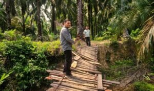 Kepala Unit BRI Sigambal, Branch Office BRI Rantau Prapat, Sumatera Utara, M A Hasibuan Kepala Unit BRI Sigambal, Branch Office BRI Rantau Prapat, Sumatera Utara, M A Hasibuan